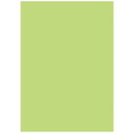 【ポイント20倍】北越製紙 カラーペーパー/リサイクルコピー用紙 【A4 500枚×5冊】 日本製 グリーン(緑)