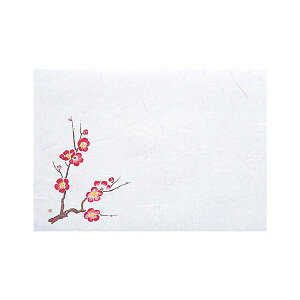 }R[ p Ɩp 1茳܂ lG ~ (100) yamaco64950