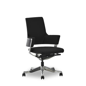 y|Cg20{zItBX`FA 65.5cm ~hobN ubN LX^[t It DELPHIII t@ubN CeAƋ giysz