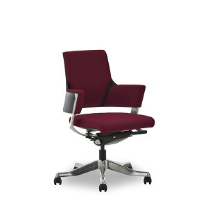 y|Cg20{zItBX`FA 65.5cm [obN o[KfB LX^[t It DELPHIII t@ubN CeAƋ giysz