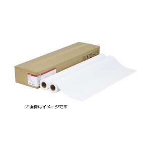 �y�|�C���g20�{�z�L���m�� �v���~�A�����ʎ� LFM-PPP/24/80 2�{