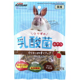 （まとめ）ドギーマンハヤシ ウサギの乳酸菌おやつ カリカリ牧草スナック 40g ウサギフード 【×10セット】