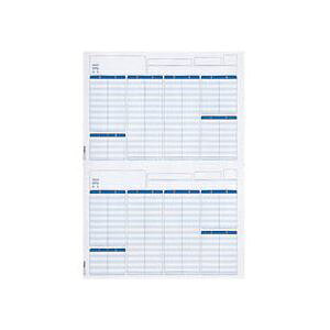 y|Cg20{zGv\ EPSON x׏(p) A4 (2~Vړ) Q33A 1(300)