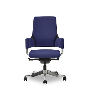 y|Cg20{zItBX`FA 65.5cm ~hobN lCr[u[ LX^[t It DELPHIII t@ubN CeAƋ giysz