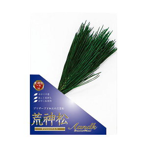 yN[|zzzAK ֓r_ Ygp MTCY KKJ-02M