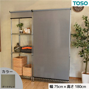 �X�`�[�����b�N�p ���[���X�N���[�� �_�[�N�O���[ ���i�F�u���b�N W75cmXH180cm �ȒP��t �H��s�v �ډB���y����s�z