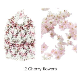 【クーポン配布中&スーパーSALE対象】HAM－15絞りバッグ　Cherry flowers
