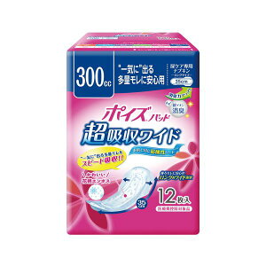 y|Cg20{zi܂Ƃ߁j {NVA |CYpbh zChp 12y×10Zbgz