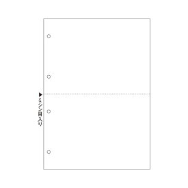 【ポイント20倍】(まとめ) ヒサゴ マルチプリンター帳票(エコノミープライス) A4 白紙 2面 4穴 BPE2003 1箱(2500枚) 【×4セット】