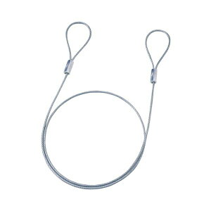 y|Cg20{z(܂Ƃ)TTvC eZLeB(C[A1.0mE3.5mm) SLE-1W-1y×10Zbgz