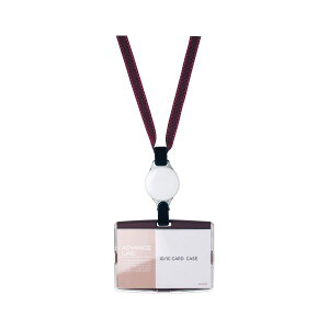 y|Cg20{zi܂Ƃ߁j \jbN IDn[hP[X[Xgbv 1 AL-894-BR uE y×3Zbgz