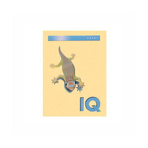 yN[|zzzi܂Ƃ߁j ɓ oCIgbvJ[ A4 500 80g^m2 BT515 T[ y×2Zbgz