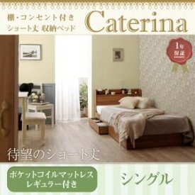 【ポイント20倍】収納ベッド シングル【Caterina】【スタンダードポケットコイルマットレス付き】フレームカラー：ウォルナットブラウン カバーカラー：さくら ショート丈 棚・コンセント付き収納ベッド【Caterina】カテリーナ