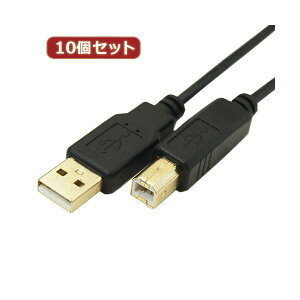 yN[|zzzϊl 10Zbg ɍUSBP[uAIX-BIX 1m USB2A-B^CA100X10