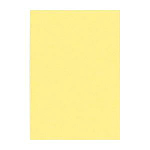 yN[|zz&}\Ώہzi܂Ƃ߁j ^ j[J[R c 271×c392mm 8NCR-101 N[ 100 y×2Zbgz