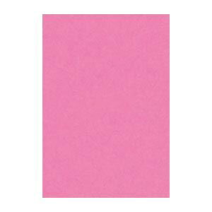 y}\Pő47{zi܂Ƃ߁j ^ j[J[R c 271×c392mm 8NCR-242  100 y×2Zbgz