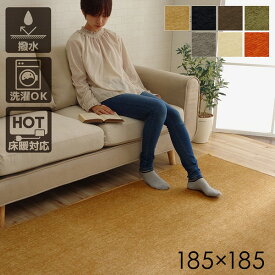 【ポイント20倍】ラグマット 絨毯 洗える 無地カラー 選べる7色 『モデルノ』 アイボリー 約185×185cm
