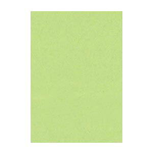 yN[|zzzi܂Ƃ߁j ^ j[J[R c 271×c392mm 8NCR-243 킩 100 y×2Zbgz