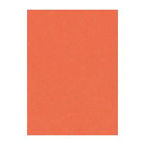 y|Cg20{zi܂Ƃ߁j ^ j[J[R S 788×c1091mm 10-213  10 y×2Zbgz