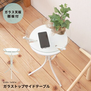 y|Cg20{zKXgbvTChe[u(zCg) 30cm ~je[u/IV/~`/X/y/_//[It/NK-310