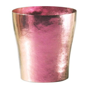 y|Cg20{zVY `^d^u[ yz 250cc AM[t[ HORIE zG { w/؃`^x kMtg ilysz