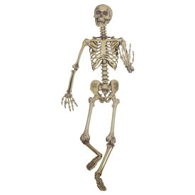 【マラソンでポイント最大47倍】SUNSTAR Pose ＆ Hold Skeleton（ポーズ＆ホールド等身大のスケルトン）【代引不可】