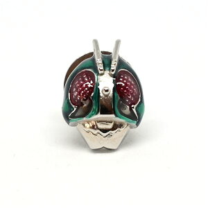 y|Cg20{zXN KAMEN RIDER×SWANK ʃC_[ }XN sY