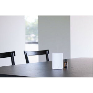 yubNtCf[Pő47{zAbgA} nebulizing diffuser uonev(luCWOfBt[U[ )Piysz