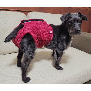 yN[|zz&ubNtCf[Ώہz}i[ނpJo[pc SS sN