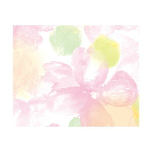 yN[|zzzi܂Ƃ߁j TTK  A[ ˔49-1502 1pbNi50j y×5Zbgz