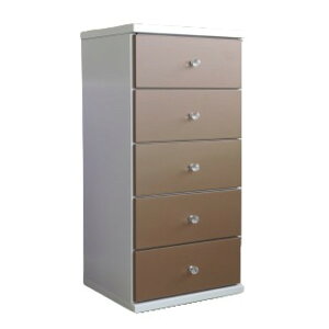 �y�|�C���g20�{�z�`�F�X�g �^���X ��43.5cm 5�i �L������ �X���C�h���[���t�� �R���p�N�g ���{�� �x�b�h���[�� �Q�� ���r���O �����i