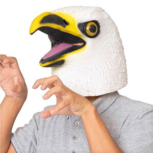 y|Cg20{zyRXvߑ/RX`[zo[}XN ^J