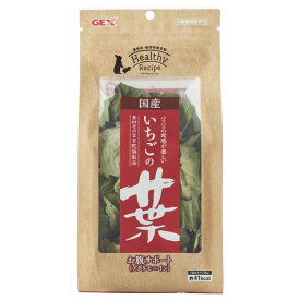 【ポイント20倍】（まとめ） ヘルシーレシピ いちごの葉 13g （ペット用品） 【×5セット】【代引不可】