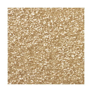 【ポイント20倍】防炎 ラグマット/絨毯 【江戸間8畳 ベージュ】 ホットカーペット対応 日本製 『ジェイド』 プレーベル【代引不可】