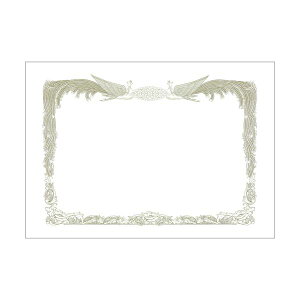 yX[p[SALEŃ|Cgő47{z(܂Ƃ) qTS ܏gp A5RCJ170A5S 1(10) y×30Zbgz