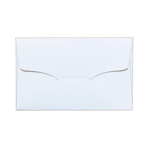 【ポイント20倍】(まとめ) TANOSEE 名刺型封筒112×70mm 上質紙 104.7g 1セット(100枚:10枚×10パック) 【×5セット】