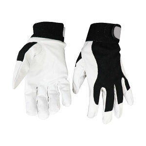 yN[|zzz(܂Ƃ) OdwH ~G[u }bXU[ M zCg/ubN NO.905-M 1o y×5Zbgz