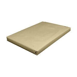 yN[|zzzebN Ăꂢ A4Y 209.3g 1(100)