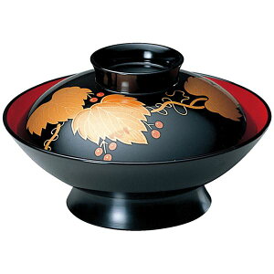 y|Cg20{z5.5 a^ϕo/o yӓ TAz a164×95(60)mm { H@Ή kaH Xg X Xlysz