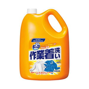 yN[|zz&X[p[SALEΏہzԉ t̃rbN ƒ 4.5Kg507174