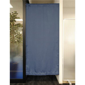 yN[|zzzԎd؂ J[e 95×178cm 1 cC lCr[ 􂦂 Ռ ډB d؂ rO _CjO xbh[
