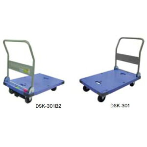 y|Cg20{zDSK-301  LX^[t