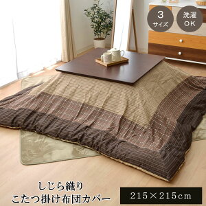 y|Cg20{zzcJo[ ` 􂦂 a w䂩x x[W 215×215cm t@Xi[^Cvyx[Wz ysz