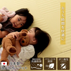 yX[p[SALEŃ|Cgő47{zO 􂦂 J[ybg { Y R hL L AEghA W[ ~ a Vv AC{[ ]ˊ3(174×261cm)yAC{[zys