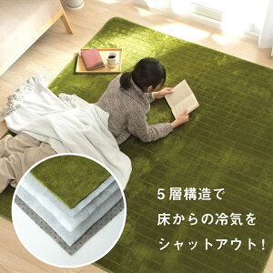 y|Cg20{zO ɂ g ۉ ~M fM A~ n O[ 200×240cm zbgJ[ybgΉyO[zysz