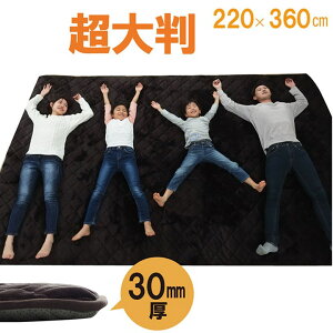 y|Cg20{zO ~zc ` 傫 LO uE 220×360cmyuEzysz