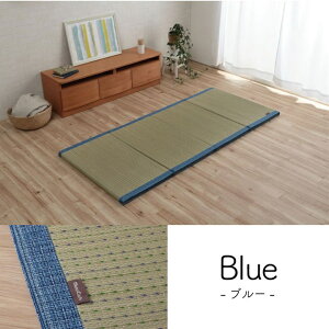 �y�|�C���g20�{�z�}�b�g ���났 �����Q ���[�֗� ���� �R�ۖh�L ���L �V���v�� ���ѐ���R�o�K�[�h�g�p ��80×180cm �u���[�y�u���[�z�y����s�z