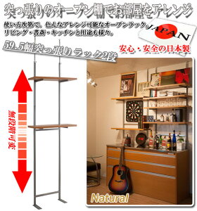 y|Cg20{z˂ǖʎ[iK2II[vbN 60cm zCg