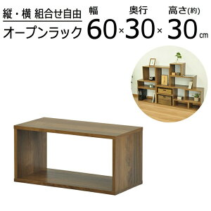 I[vbNV[Y EHibguE^Cv 60×30cm