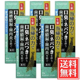 サンスター 薬用塩歯みがき 当帰の力 すっきりハーブ 85g × 5個 セット 医薬部外品 送料無料